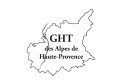 Logo container-3